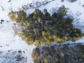Parduodamas miškų ūkio sklypas Londono k. - nuotraukos Nr. 7