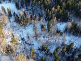 Parduodamas miškų ūkio sklypas Šveicarijos k. - nuotraukos Nr. 3