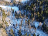Parduodamas miškų ūkio sklypas Šveicarijos k. - nuotraukos Nr. 4