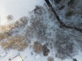 Parduodamas miškų ūkio sklypas prie - nuotraukos Nr. 4