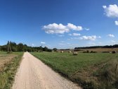 Parduodamas žemės ūkio paskirties sklypas - nuotraukos Nr. 6