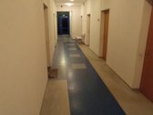 	išnuomojamos tvarkingos 37 kv. m - nuotraukos Nr. 24