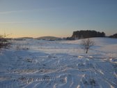 Sklypai Avižienių seniūnija, Pikutiškės, - nuotraukos Nr. 14