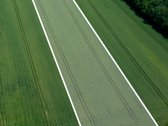 Parduodamas Žemės Ūkio Paskirties 3,8000 Ha - nuotraukos Nr. 6