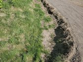 Parduodamas 6 arų sodo sklypas su pamatais ir - nuotraukos Nr. 11