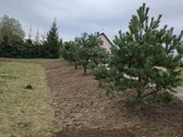 Parduodamas 6 arų sodo sklypas su pamatais ir - nuotraukos Nr. 15