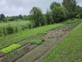 Parduodamas 6 arų sodo sklypas su pamatais ir - nuotraukos Nr. 16