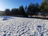 45 a sklypas su brandžiomis pušimis Bartonių - nuotraukos Nr. 7