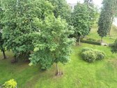 Kėdainiuose, J. Basanavičiaus G., Parduodamas - nuotraukos Nr. 14