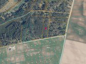 0,76 ha ploto miškas Trakų rajone yra