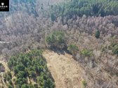 Parduodamas 2,82 Ha Žemės Ūkio Paskirties - nuotraukos Nr. 5