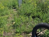 Parduodamas 11,05 arų namų valdos sklypas - nuotraukos Nr. 4