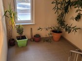 Parduodu tvarkingą 1 kamb. butą Aukštaičių g. - nuotraukos Nr. 16