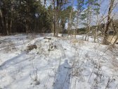 Sklypas miško prieigose ir medžiai yra sklypo - nuotraukos Nr. 2
