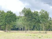 Parduodami Komercinės Paskirties Sklypai, - nuotraukos Nr. 6