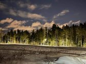 Parduodami sklypai apjuosti šimtamečio pušyno - nuotraukos Nr. 5
