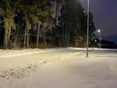 Parduodami sklypai apjuosti šimtamečio pušyno - nuotraukos Nr. 6
