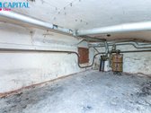 Unikalioje ir sparčiai besivystančioje - nuotraukos Nr. 16