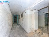 Unikalioje ir sparčiai besivystančioje - nuotraukos Nr. 19
