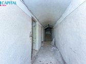 Unikalioje ir sparčiai besivystančioje - nuotraukos Nr. 24
