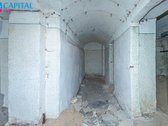 Unikalioje ir sparčiai besivystančioje - nuotraukos Nr. 25
