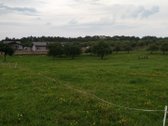 Alytaus rajone Genių k., naujai suformuotame - nuotraukos Nr. 2