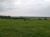 Alytaus rajone Genių k., naujai suformuotame - nuotraukos Nr. 3