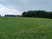 Alytaus rajone Genių k., naujai suformuotame - nuotraukos Nr. 5