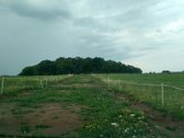 Alytaus rajone Genių k., naujai suformuotame - nuotraukos Nr. 11