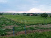 Alytaus rajone Genių k., naujai suformuotame - nuotraukos Nr. 12