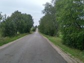 Alytaus rajone Genių k., naujai suformuotame - nuotraukos Nr. 15