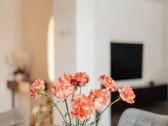 Jūsų svajonių užuovėja Šimšėje: Namai, kurie - nuotraukos Nr. 29