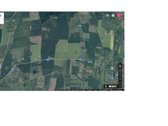 Sveiki, parduodamas 13,76 ha. žemės ūkio - nuotraukos Nr. 3