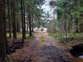 Parduodamas unikalus miško paskirties sklypas - nuotraukos Nr. 3