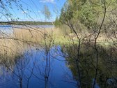 Parduodamas unikalus miško paskirties sklypas - nuotraukos Nr. 2