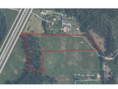 4,57 ha sklypas su 2 ha brandžiu mišku – - nuotraukos Nr. 6