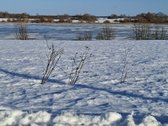 Parduodami 2 rekreacinės paskirties sklypai - nuotraukos Nr. 4