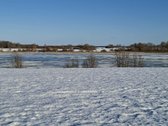 Parduodami 2 rekreacinės paskirties sklypai - nuotraukos Nr. 7