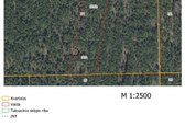 2.06 ha pribręstantis pušynas - nuotraukos Nr. 3