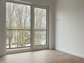 Gražioje ir ramioje Palangos miesto vietoje - nuotraukos Nr. 14