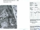 Parduodamas žemės ūkio paskirties 293 a. sklypa - nuotraukos Nr. 3