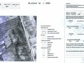 Parduodamas žemės ūkio paskirties 293 a. sklypa - nuotraukos Nr. 4
