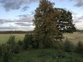 Sienų rąstai gero stovio. 3 pečiai, duonkepis - nuotraukos Nr. 11