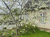 Parduodamas 6,27 aro žemės sklypas su gautu - nuotraukos Nr. 3