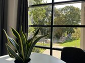Zappa Square  workspace library  residence - nuotraukos Nr. 9
