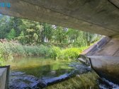 Parduodama Sodyba Ant Bambenos Upės Kranto, - nuotraukos Nr. 16
