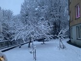 Antakalnyje, ypatingai ramioje ir tylioje - nuotraukos Nr. 24