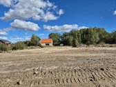 Iki jūros vos 3 km Girulių miškeliu - nuotraukos Nr. 14
