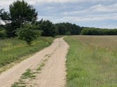 Sklypas randasi 900 m.nuo Kulautuvos - nuotraukos Nr. 2