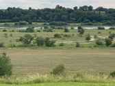 Galima nuoma 2999 eur.viso sklypo metams - nuotraukos Nr. 16